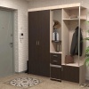 Прихожая Силуэт 3 MSK
